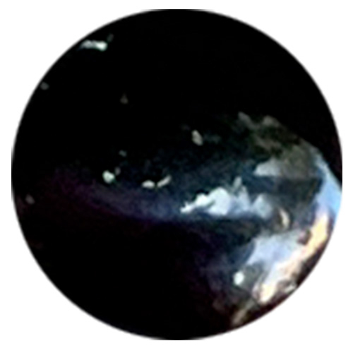 black-onyx-gemstone-silvissions-jewelry